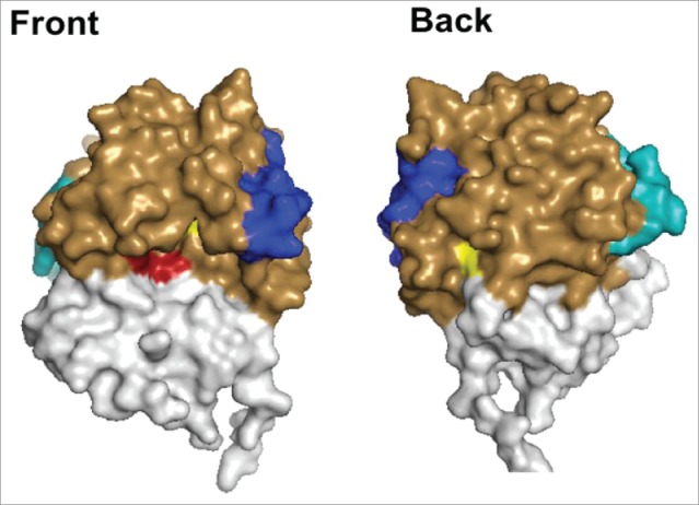 Figure 1.