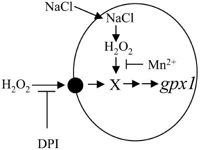 Figure 9.