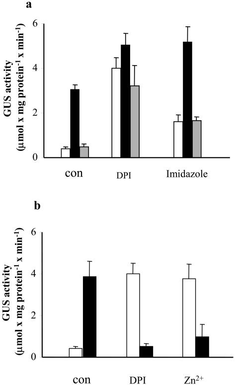 Figure 7.