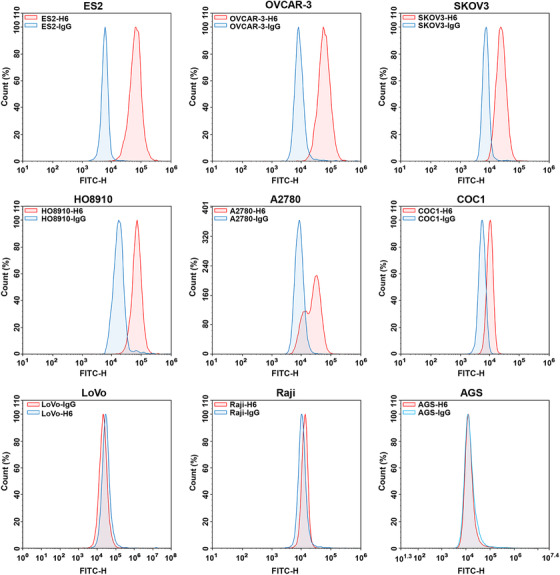 FIGURE 3