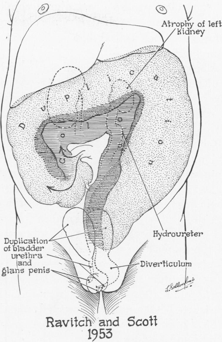 Fig. 9.