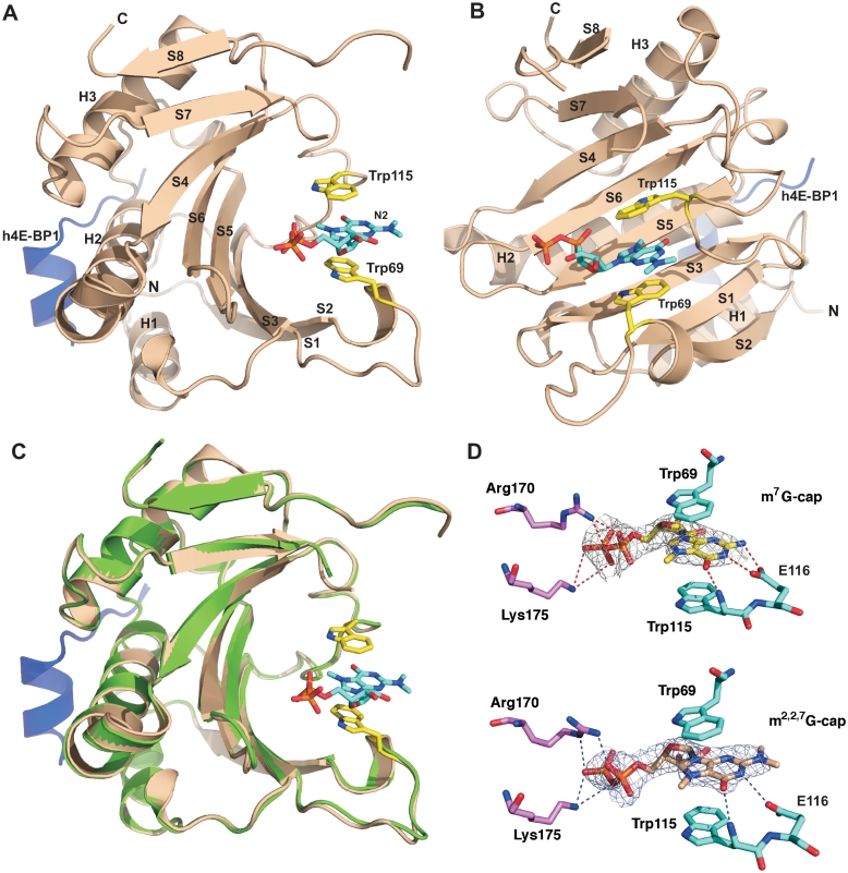 Figure 1.