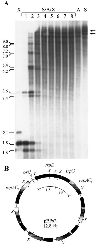 FIG. 5