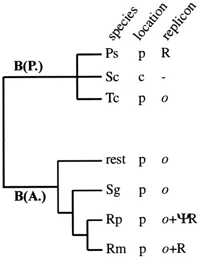 FIG. 8