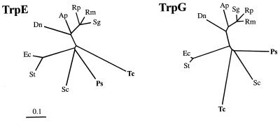 FIG. 7