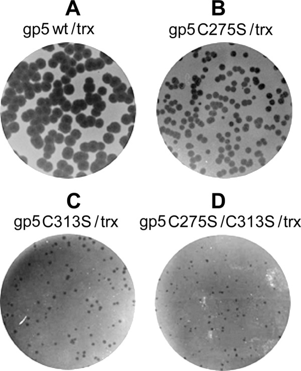 FIGURE 10.