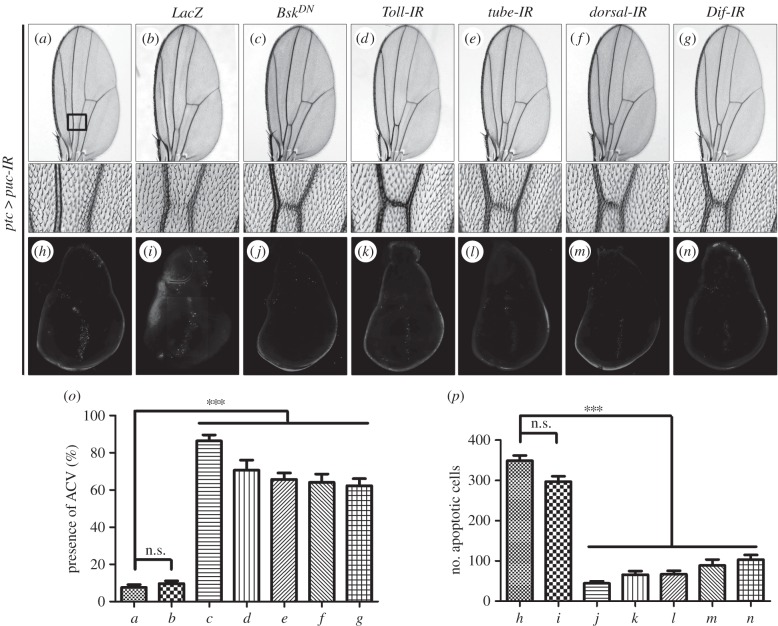 Figure 6.