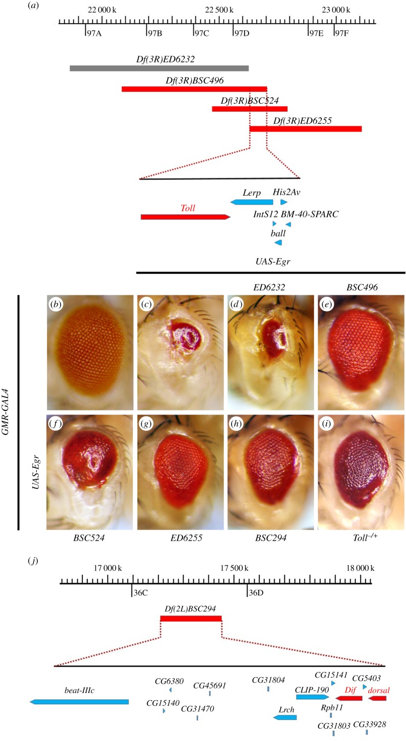 Figure 1.