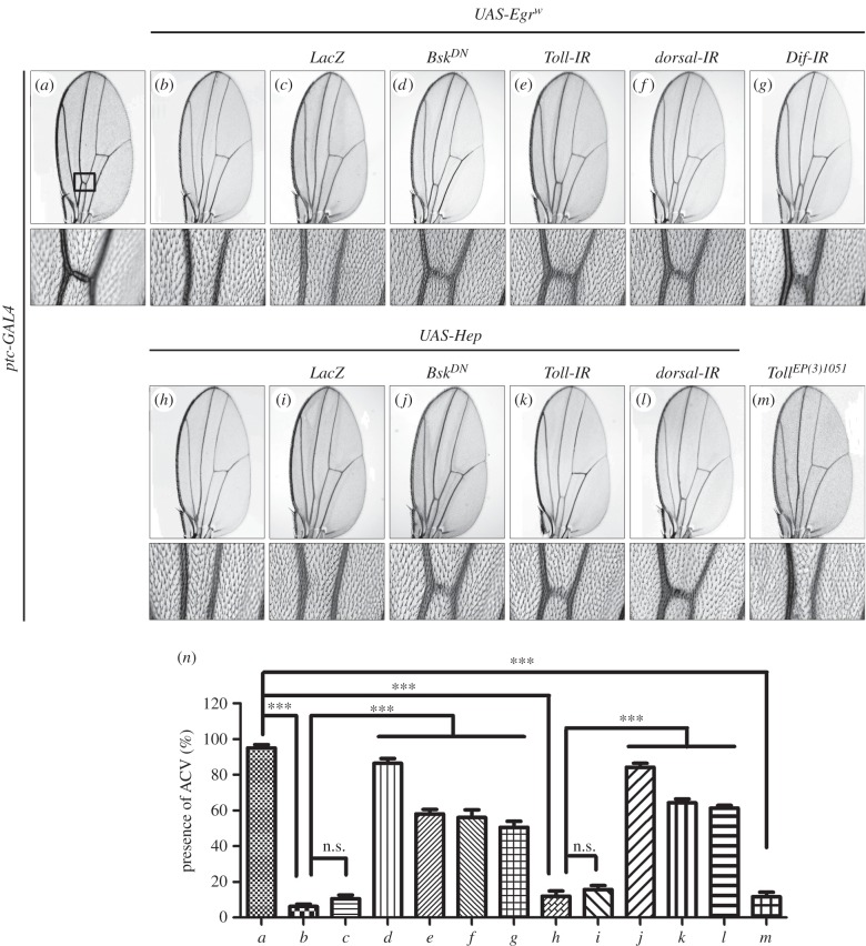 Figure 4.