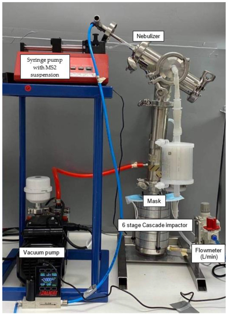 Figure 2