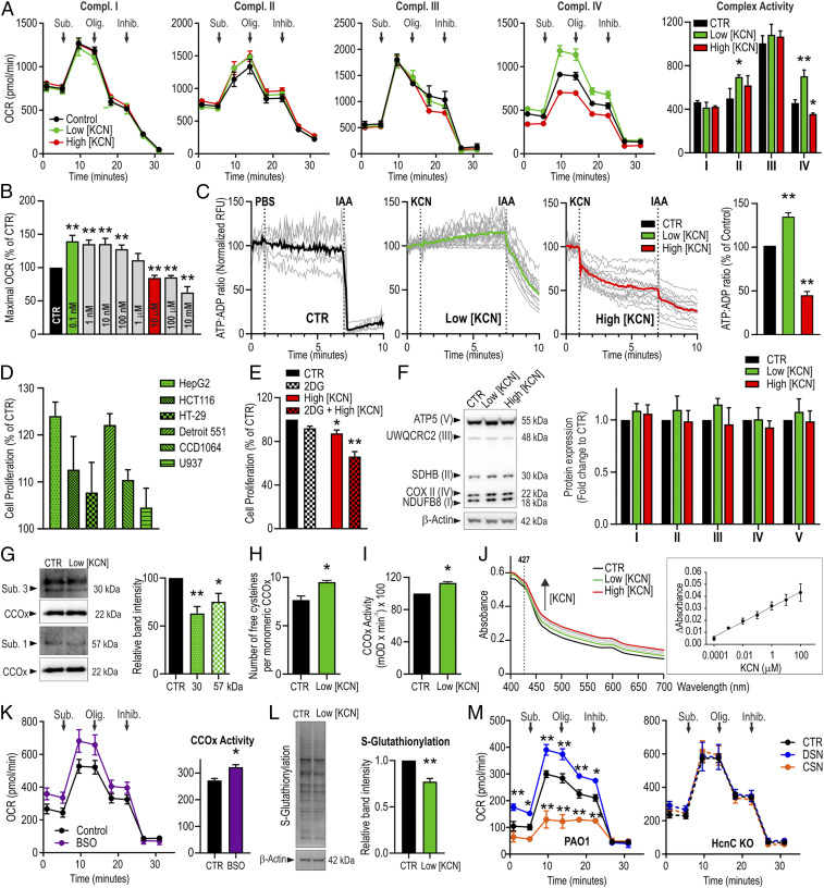 Physiological concentrations of cyanide stimulate mitochondrial Complex ...