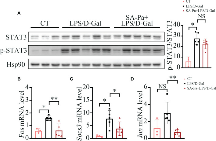 Figure 5