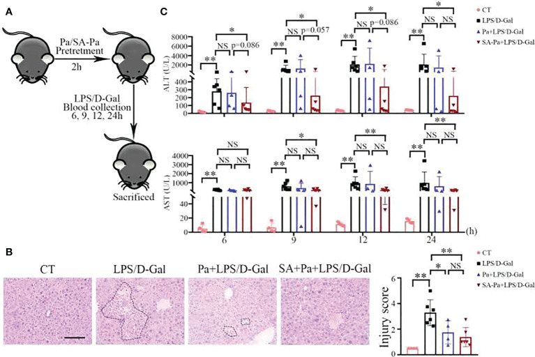 Figure 2