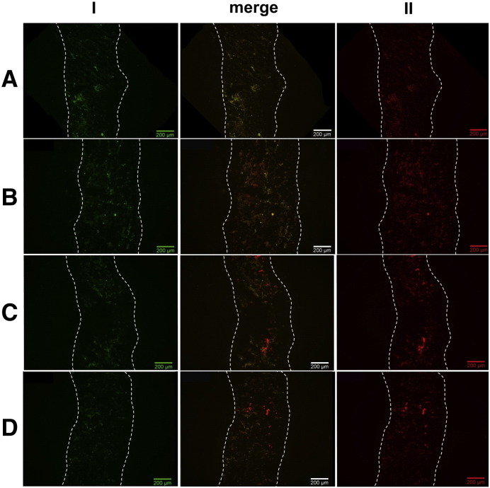 Fig. 2