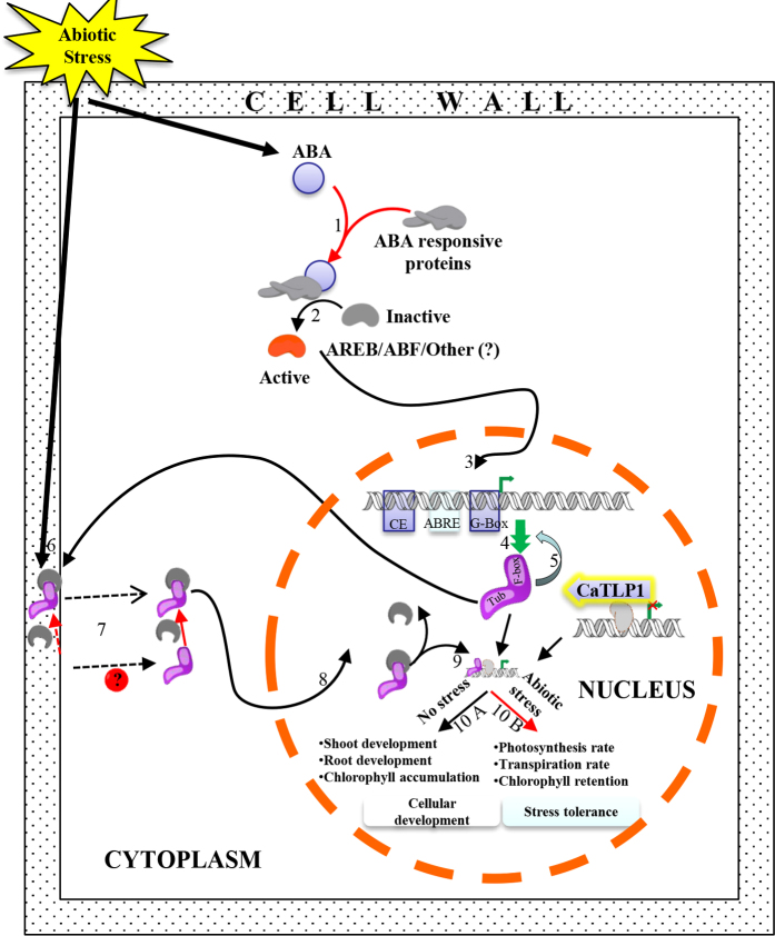 Figure 7