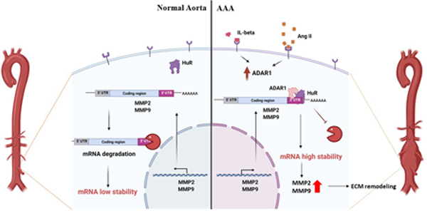 graphic file with name nihms-1743039-f0001.jpg