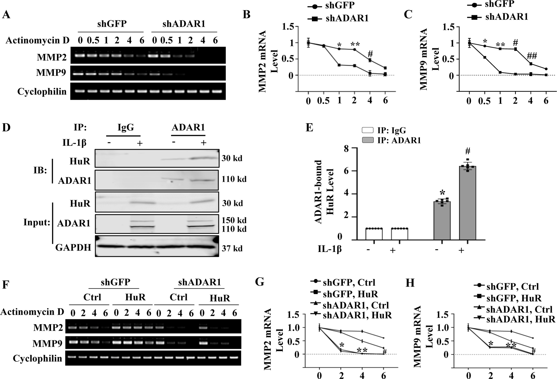 Figure 7: