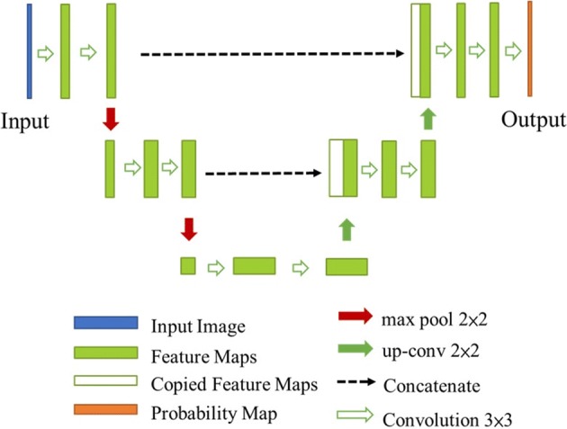 Fig. 11