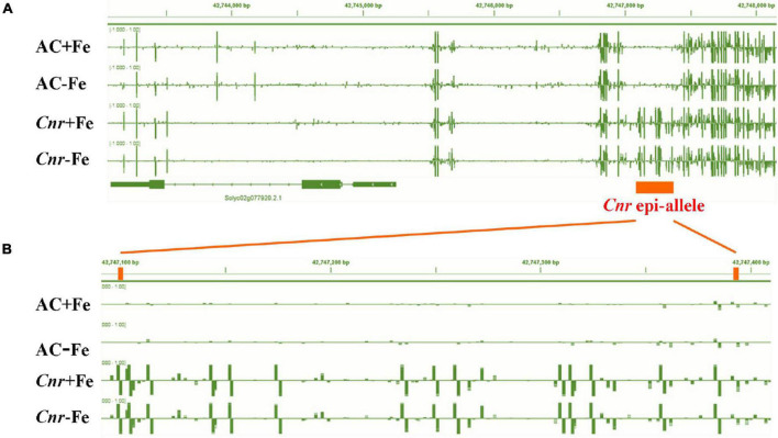 FIGURE 4