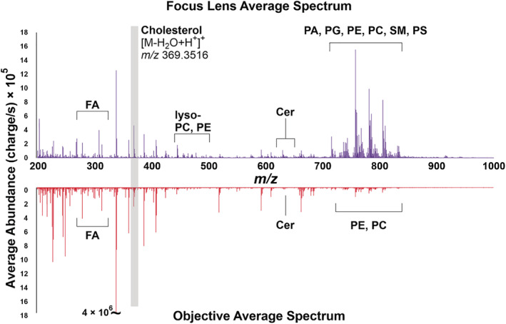 FIGURE 3