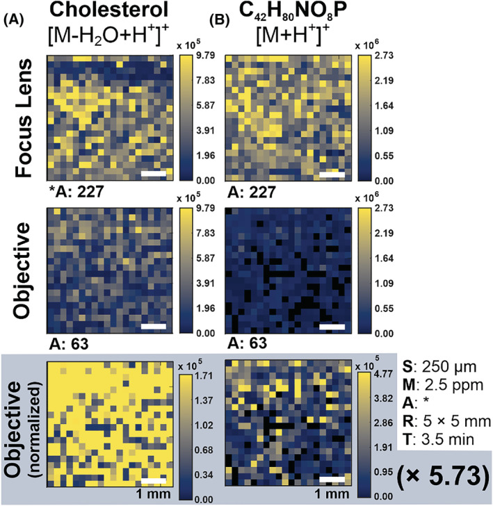 FIGURE 4