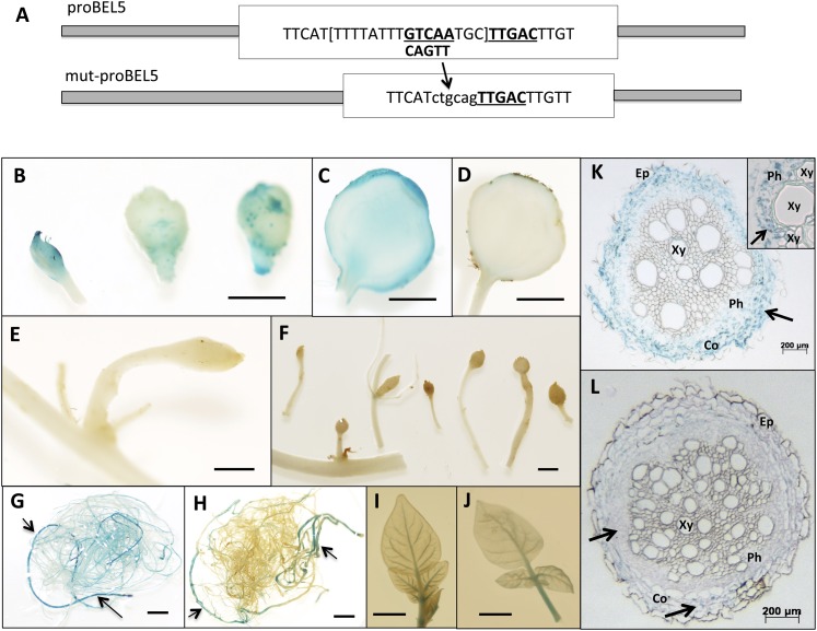 Figure 6.