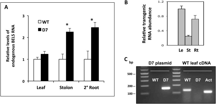 Figure 7.