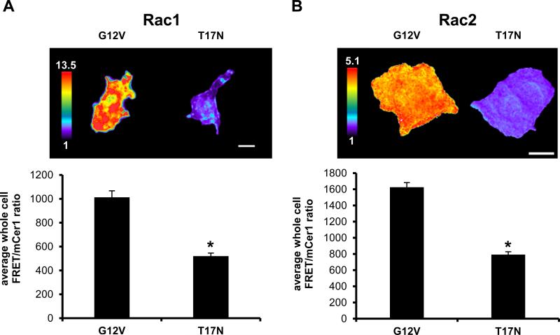 FIGURE 3