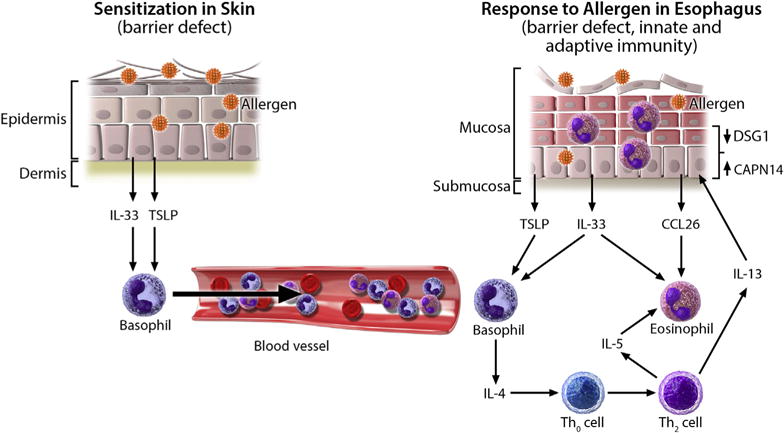 FIG 1