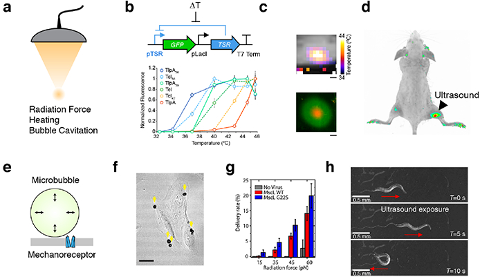 Figure 3 -