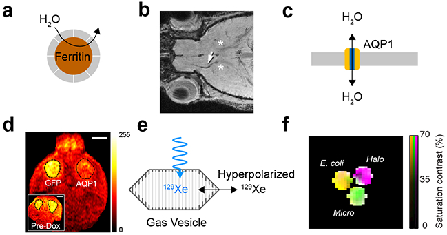 Figure 4 -