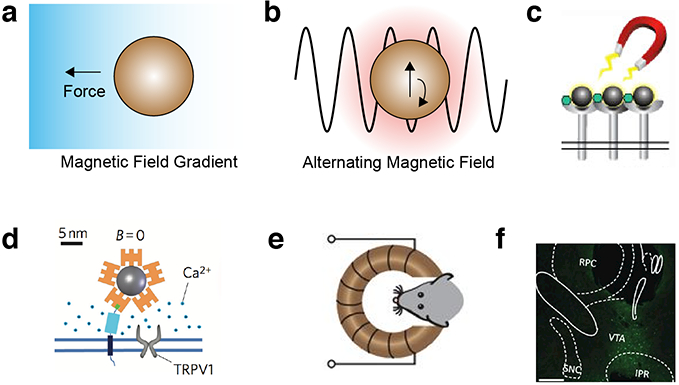 Figure 5 -