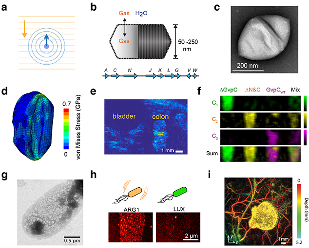 Figure 2 -