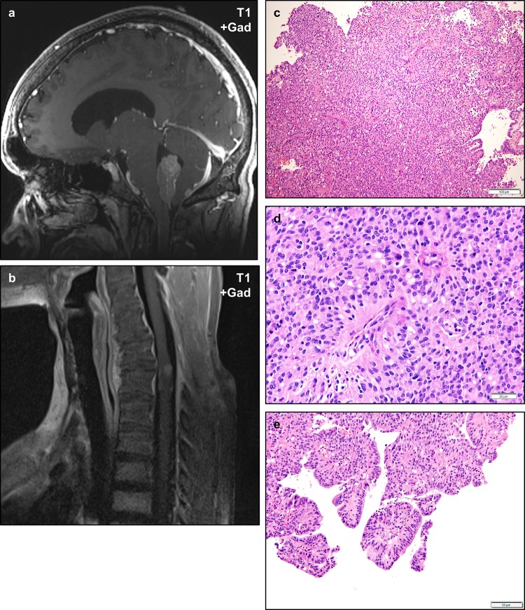 Fig. 6