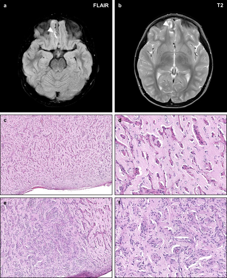 Fig. 7