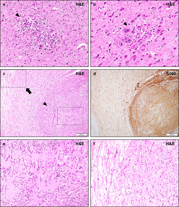 Fig. 8