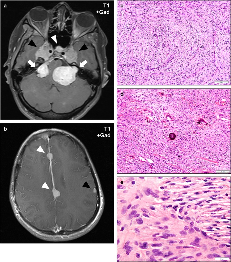 Fig. 5