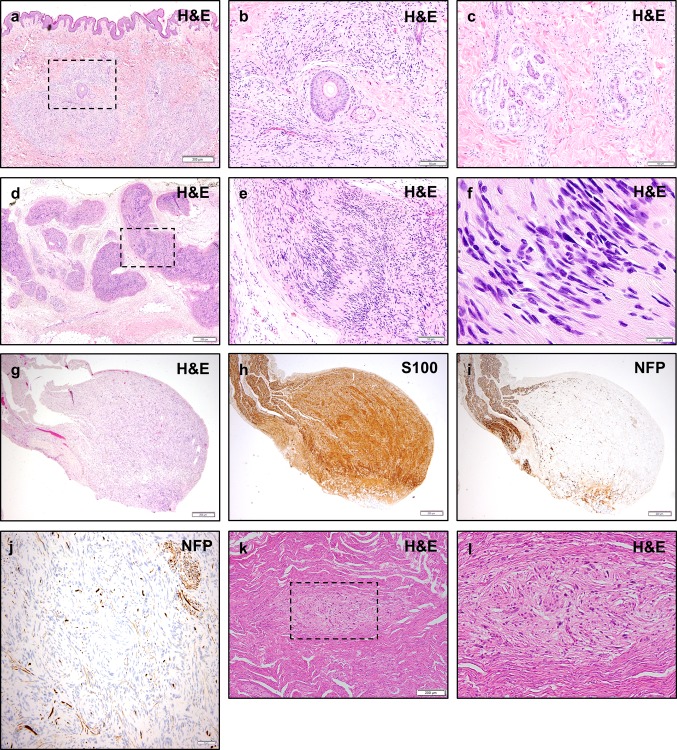 Fig. 4