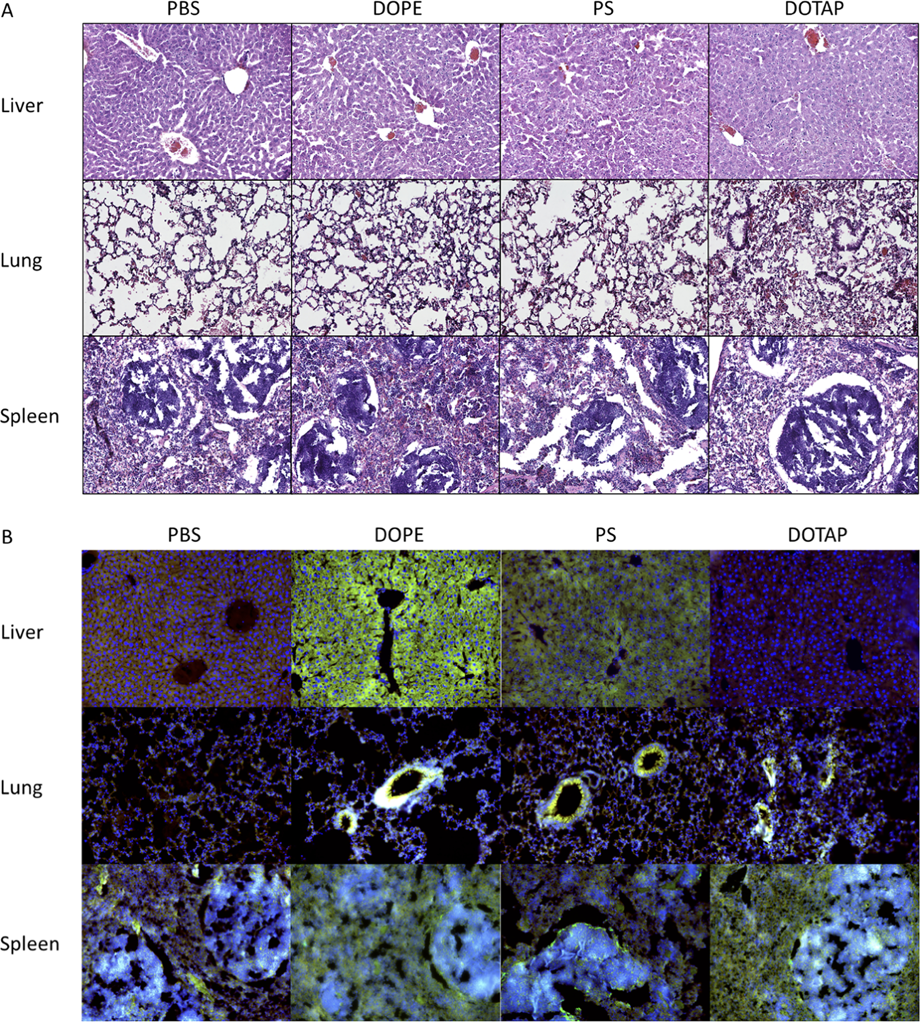 Figure 6: