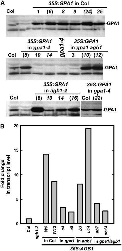 Figure 3.