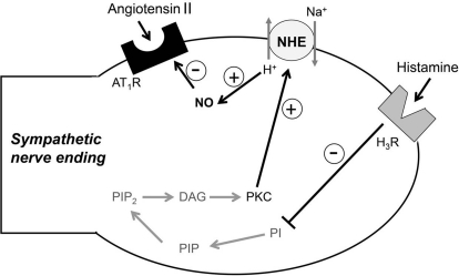 Fig. 7.