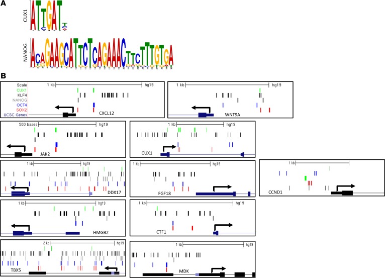 Figure 7