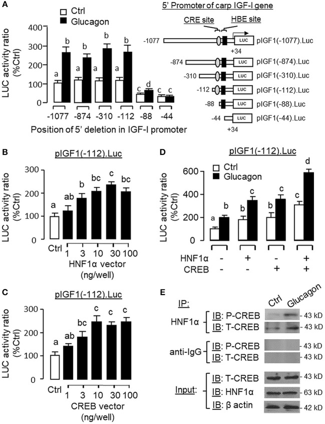 Figure 13