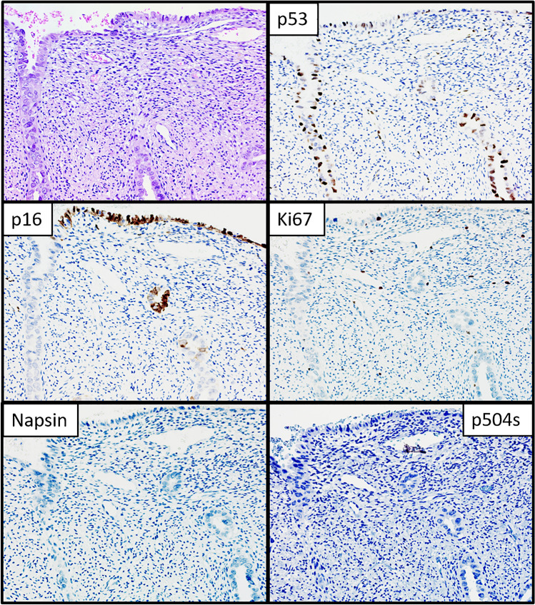 Fig. 4