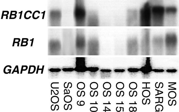 Figure 1.