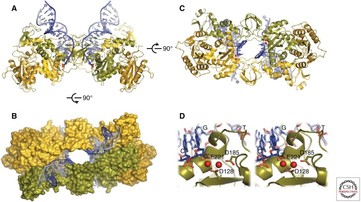 Figure 2.