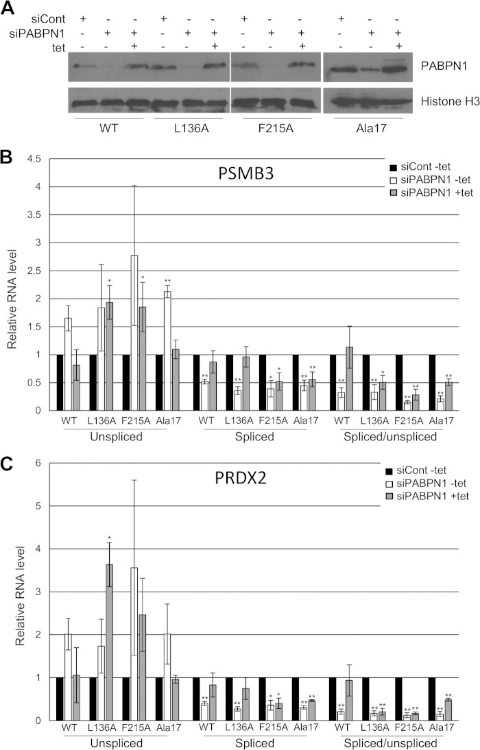 FIG 6