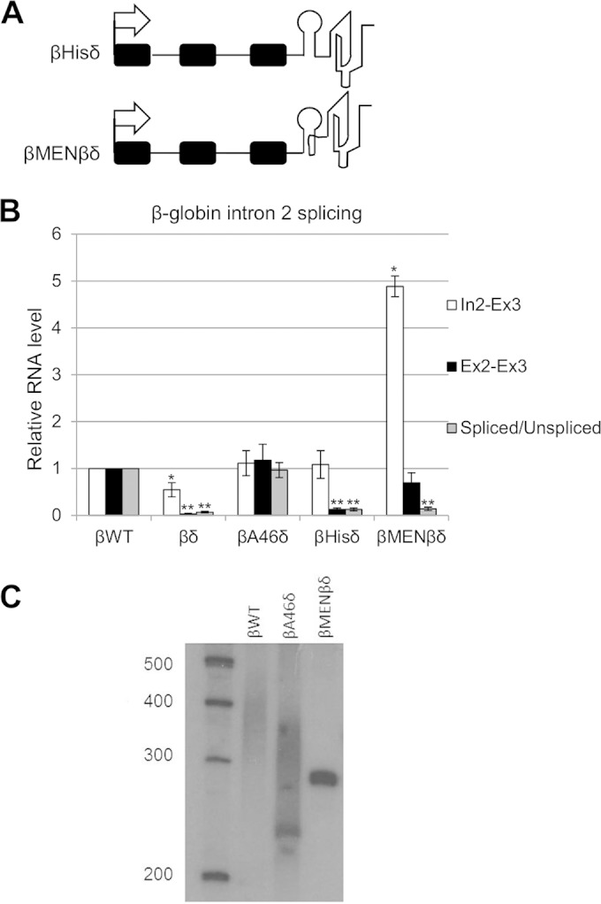 FIG 2