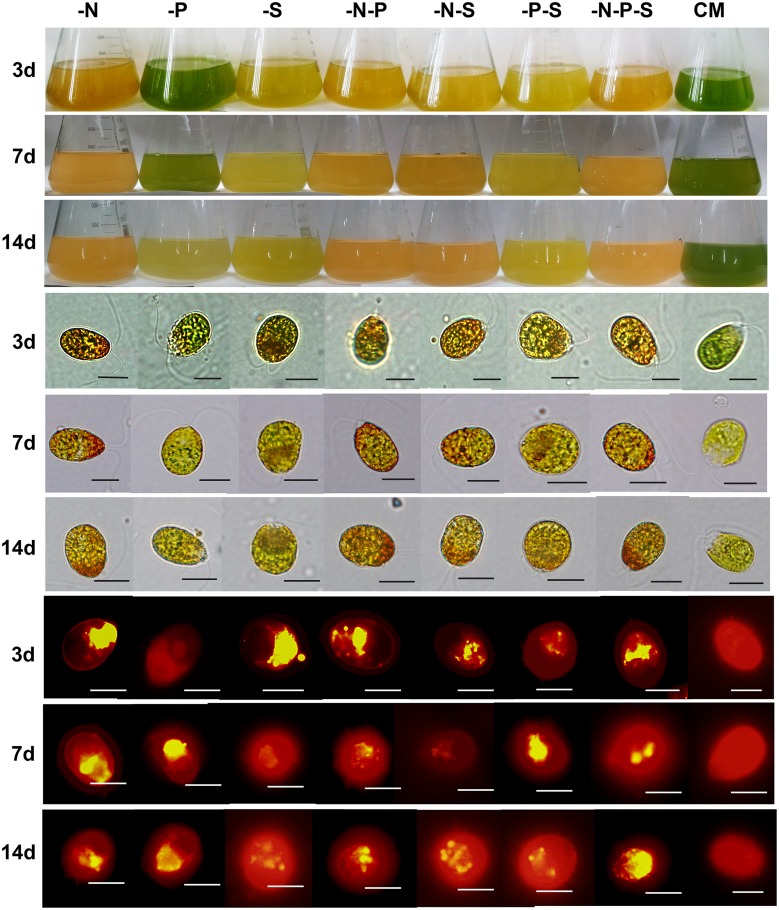 Fig 2