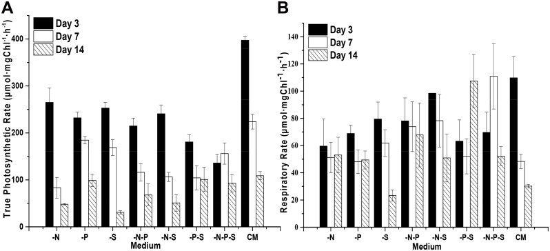 Fig 4